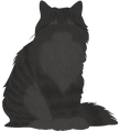Cinderheart's silhouette on the Warriors website