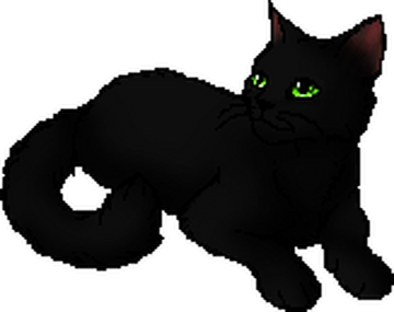 warrior cats shadowstar