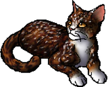 The guardian cats, Warriors Wiki