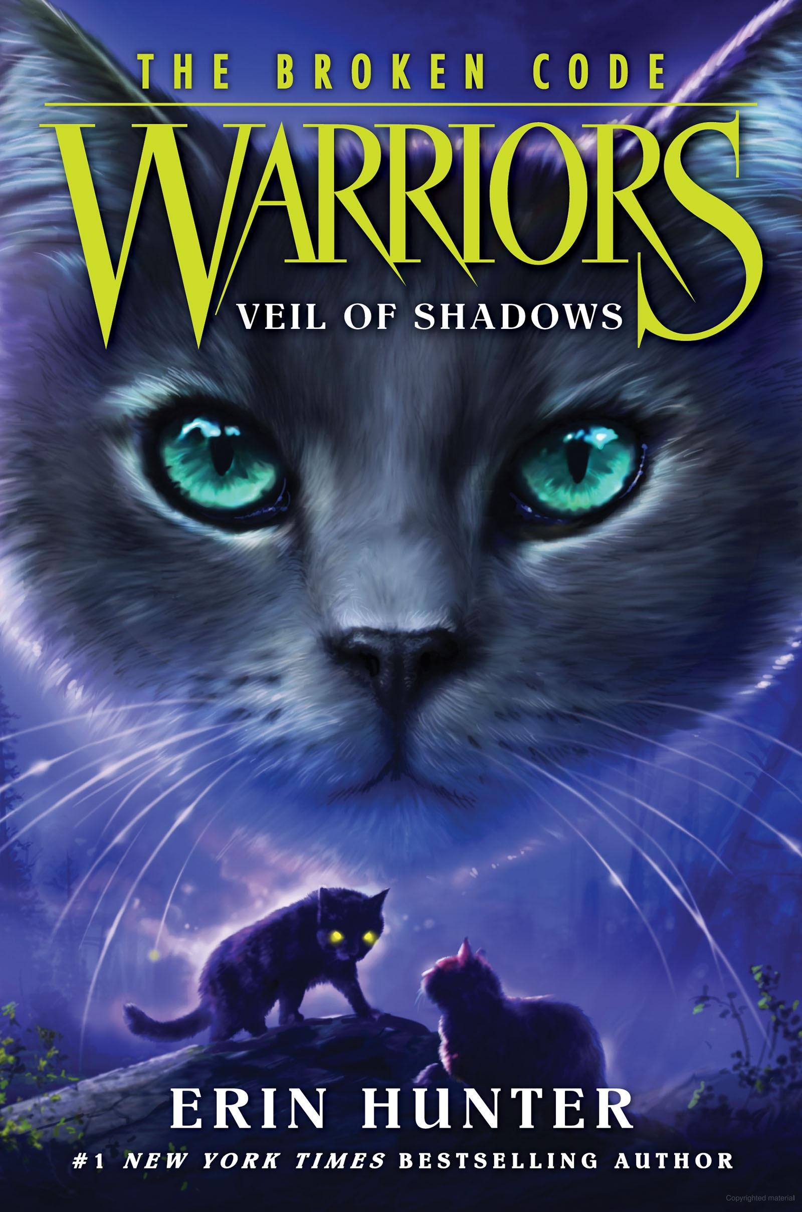 warriors a vision of shadows warriors a vision of shadows