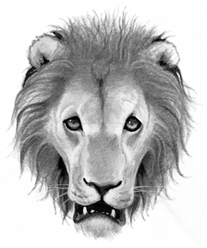 Lioneye, Warriors Wiki