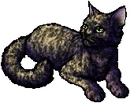 StarClan Version
