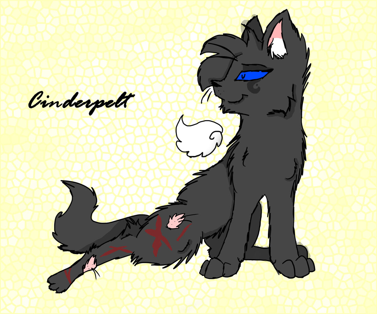 Cinderpelt Warriors Fan Art Wiki Fandom