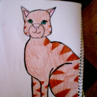 Squirrelflight Warriors Fan Art Wiki Fandom See more ideas about cats, warrior cats, warrior cat. warriors fan art wiki fandom
