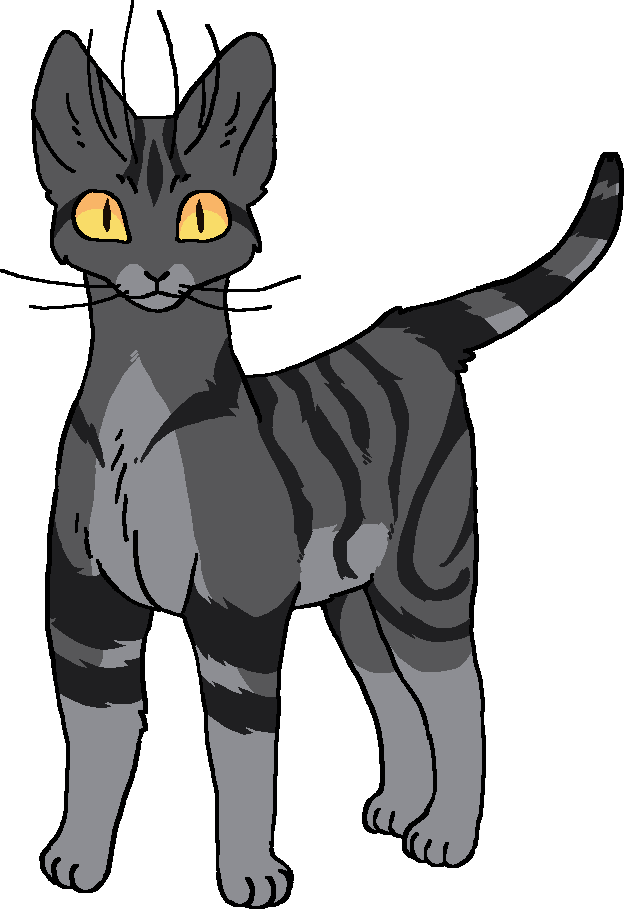 Risca de Carvão | Wiki Gatos Guerreiros | Fandom