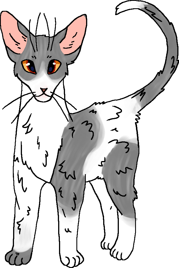 A Honra de Estrela de Leopardo, Wiki Gatos Guerreiros