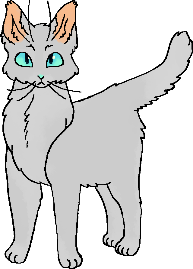 Pelo Gris, Wiki Gatos Guerreiros