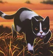 Estrela Alta na capa inteira de Vingança de Estrela Alta