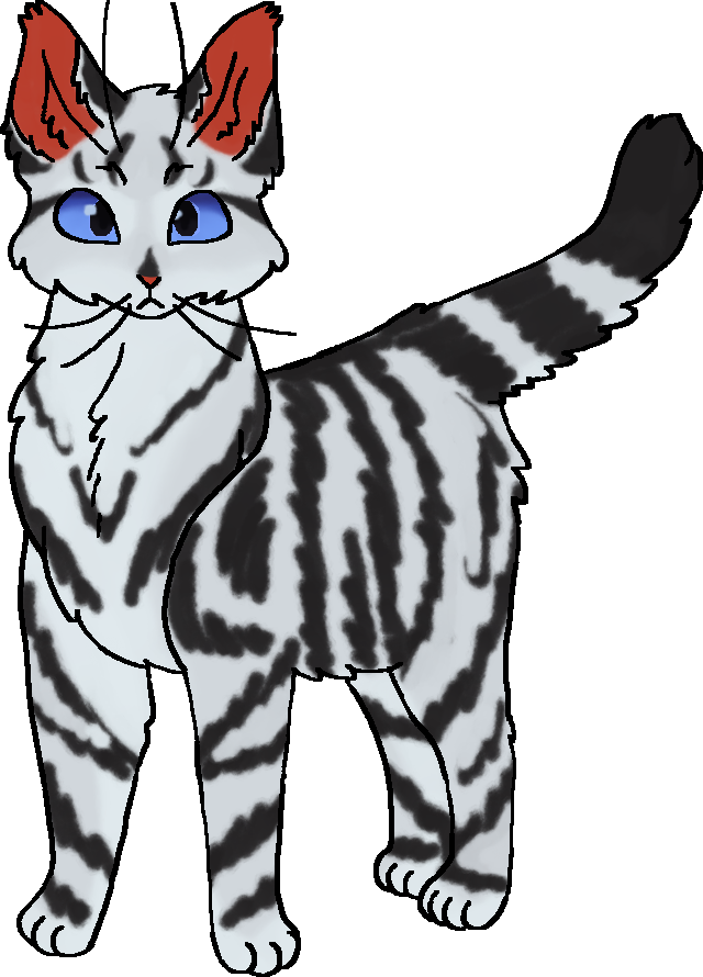 Pé de Leopardo, Wiki Gatos Guerreiros