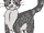 Pelo de Mancha