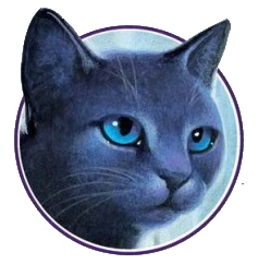 gatos guerreiros estrela azul｜Pesquisa do TikTok