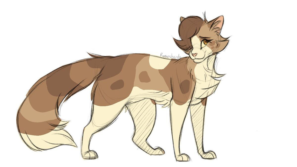 Juniper Warriors Cats Clan Role Play Wiki Fandom