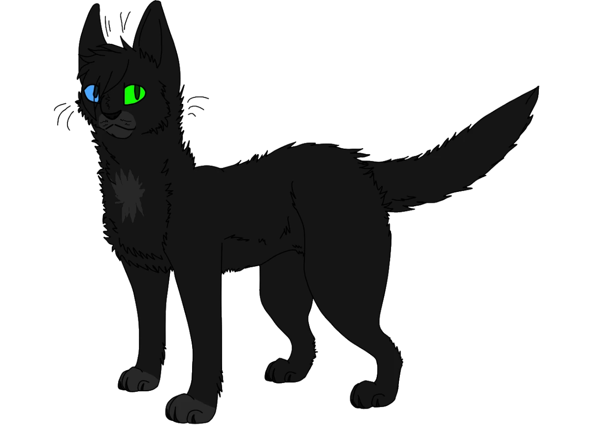 Кот сумрак. Коты воители серогривка. Коты воители медуница сероус и сумрак. Кот сумрак. Коты воители грач.