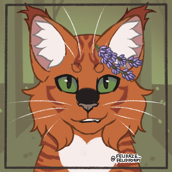 Thunderclan Warrior Cat Wiki Fandom Powered By Wikia - Warrior