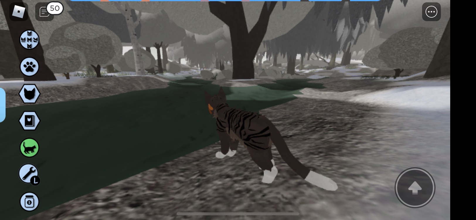 Introducing the official Warrior Cats game on Roblox