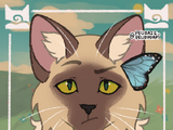 Rabbitheart (WindClan)