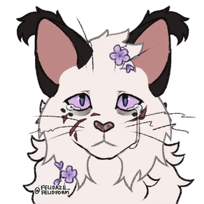 Frost Clan - a fan made clan by my ten year old, thank you to $snoweylinxx  for the line art <3 : r/WarriorCats