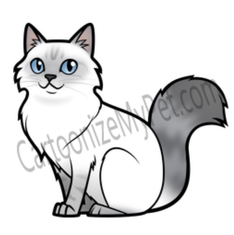 SilverStorm  Warrior cats name generator, Warrior cats, Warrior