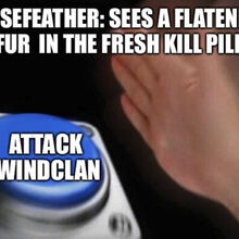 Warriors Memes Warriors Fanon Wiki Fandom