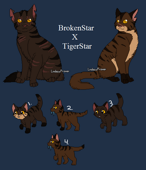 Bluestar Ships, Warrior Cat Ship Rants