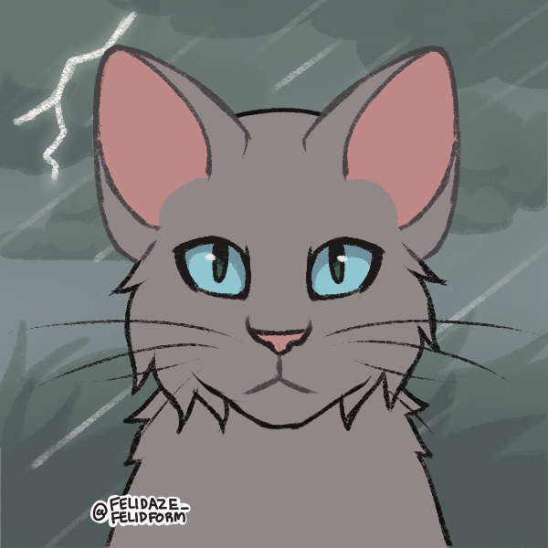 My SkyClan Leader, Deputy, and Medicine Cat. Credit to felidaze on picrew  for the creator. : r/WarriorCats