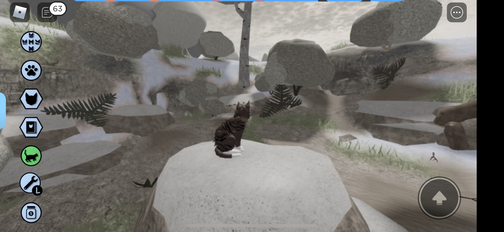 Introducing the official Warrior Cats game on Roblox