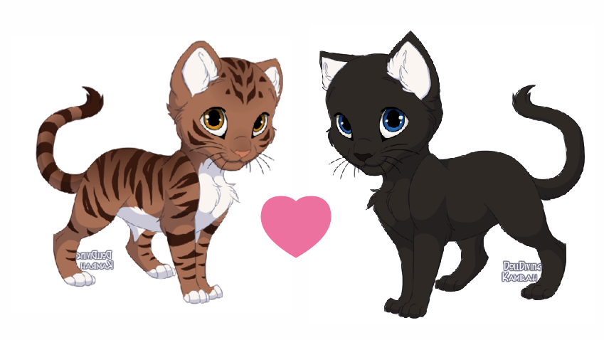 What If Firestar Joined WindClan?, Warrior Cat What Ifs?