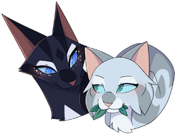 The Warrior Cats Ship Harbor Warriors Fanon Wiki Fandom The Warrior Cats Ship Harbor Warriors Fanon Wiki Fandom