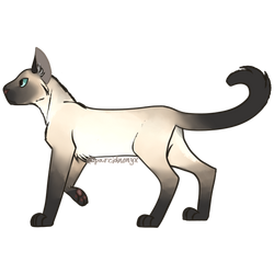 Unique Warrior Cat Name Generator ― Perchance