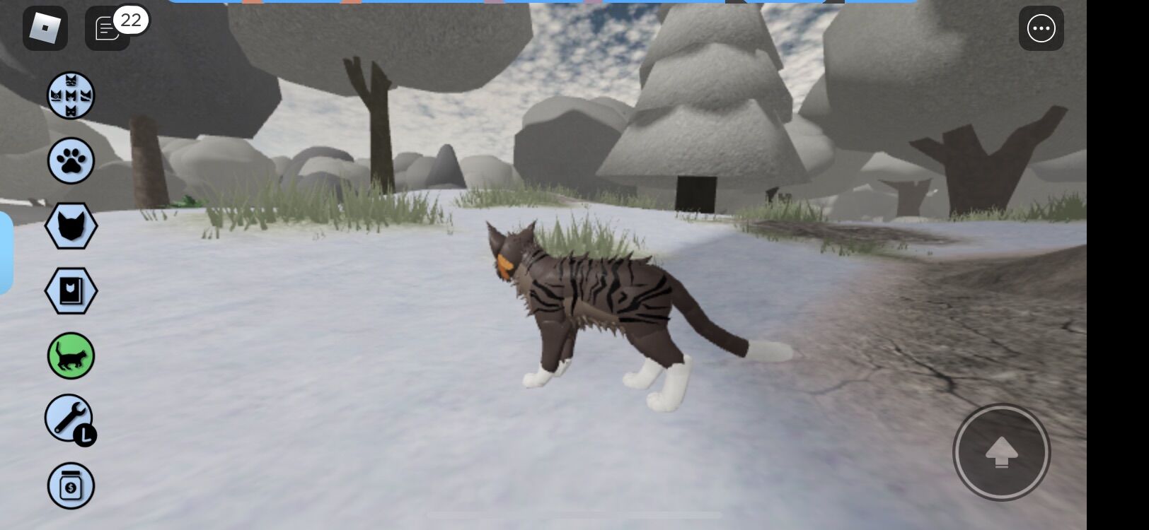 Warrior Cats: Ultimate Edition, Roblox Wiki