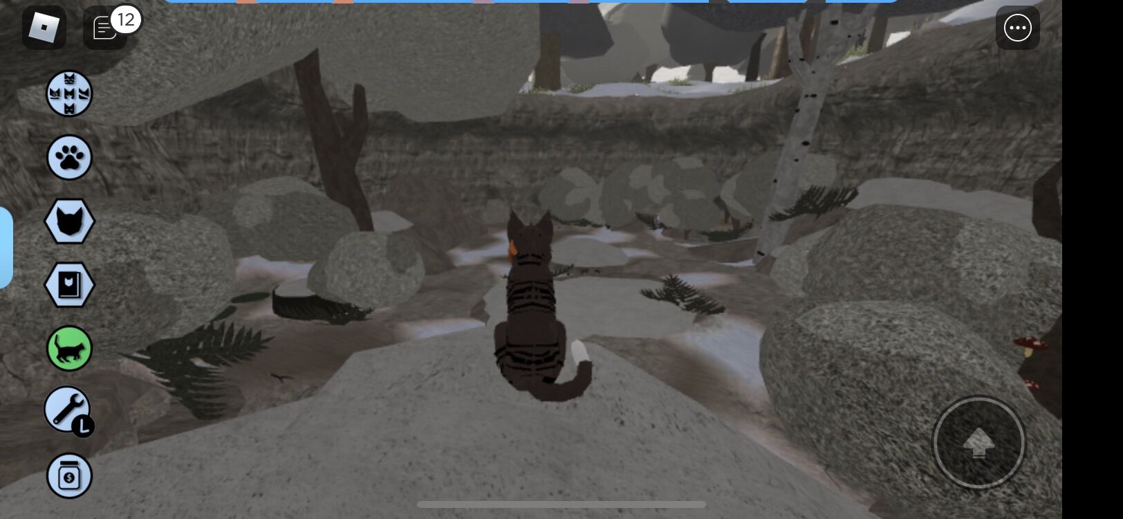 Introducing the official Warrior Cats game on Roblox