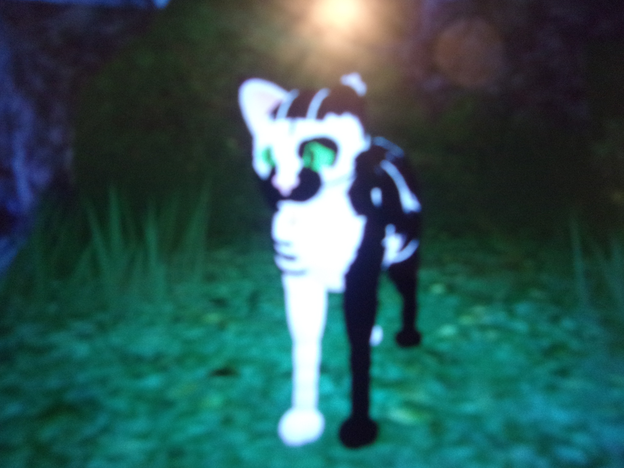 Warrior Cats The Lake Project Roblox Warriors Fanon Wiki Fandom - old warrior cats forest territory roblox