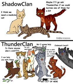 Warriors Memes Warriors Fanon Wiki Fandom Warriors Memes Warriors Fanon Wiki Fandom