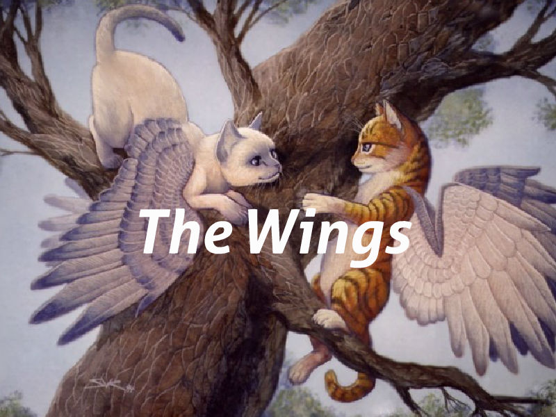 winged cat mythology