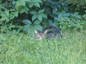 DSCN1206.jpg