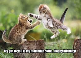 Kittenh.png