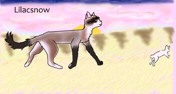 Lilacsnow.jpg