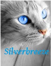 Silverbreeze