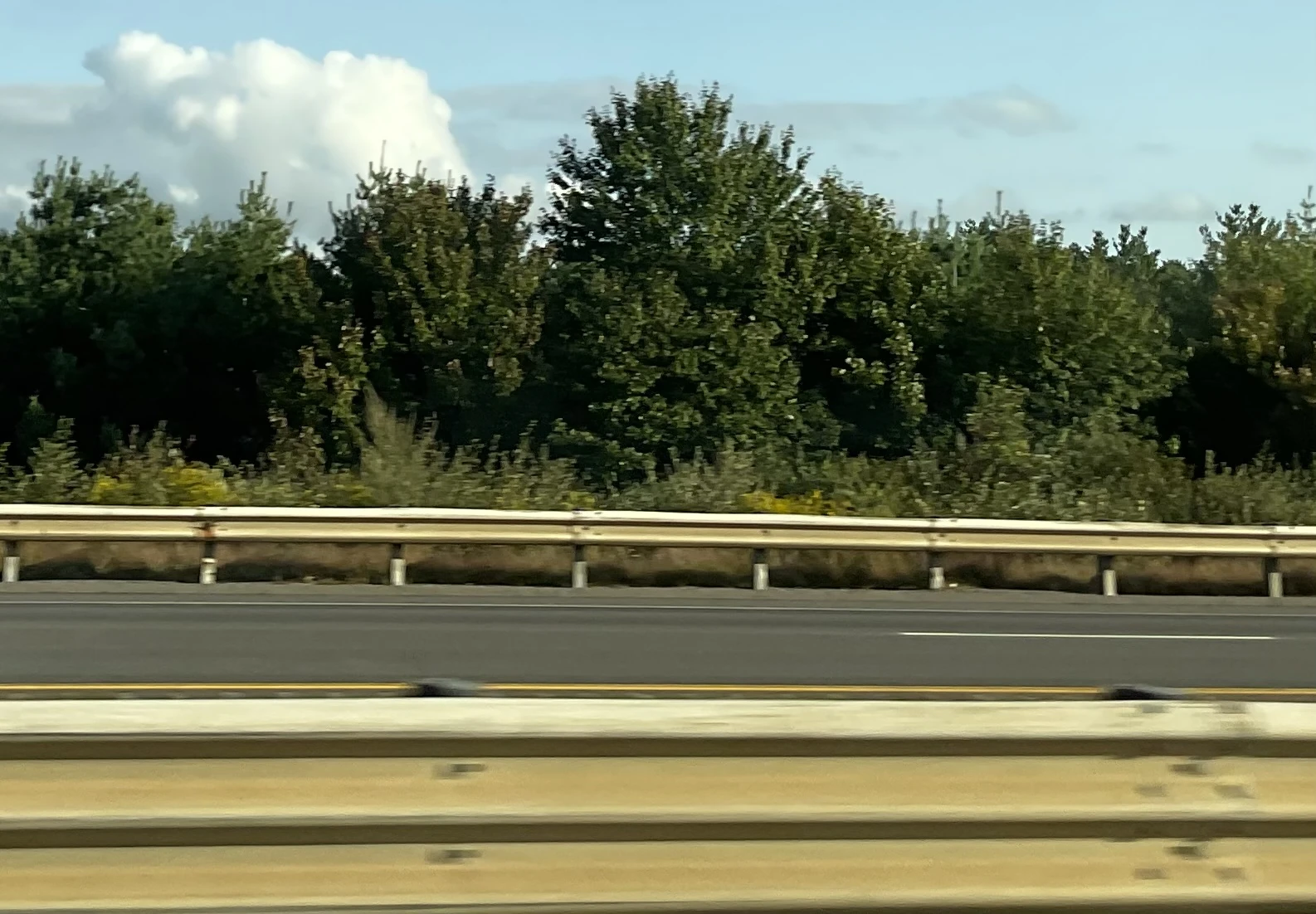 Save Us Cyrian | Warriors Fanfiction | Fandom