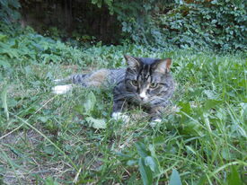 DSCN1215.jpg