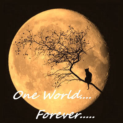Cat and moon1.jpg