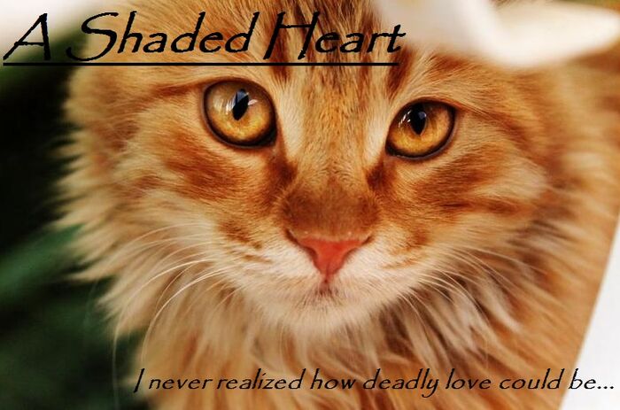 A Shaded Heart