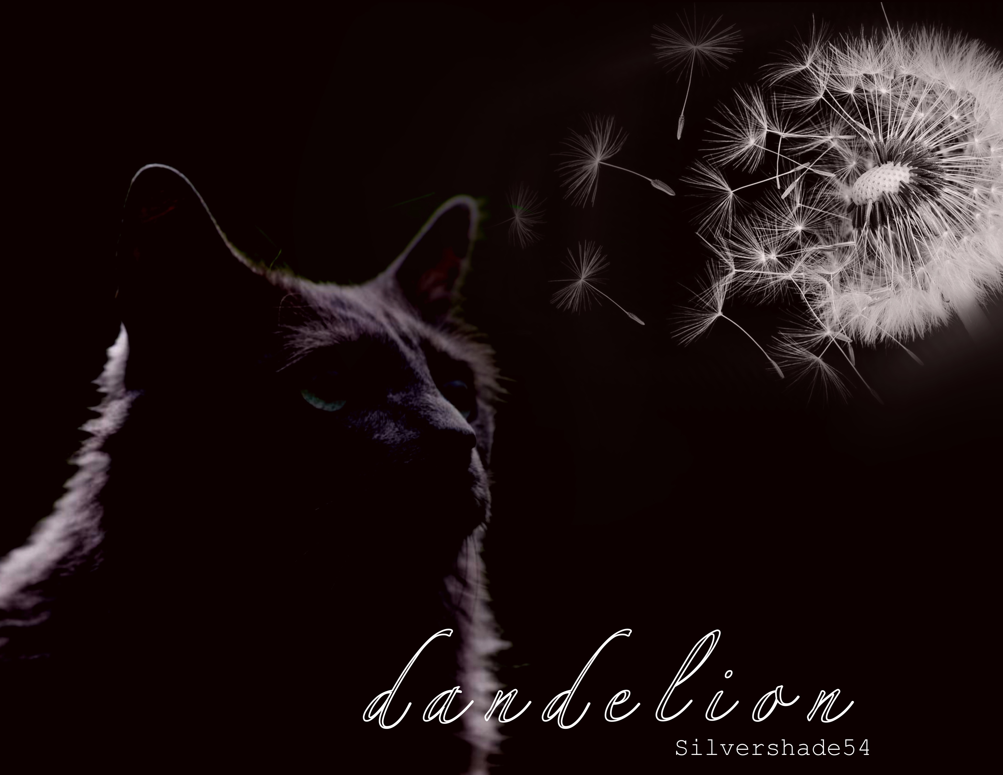 Dandelion | Warriors Fanfiction | Fandom