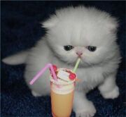 Cuteypie!.jpg