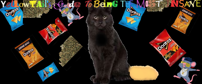 CRAZY YO.png