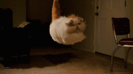Asdfasdgrjtbanwr,jqrwha,jzrnabjrhn.gif