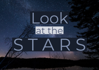 Look At The Stars Series Warriors Fanfiction Fandom