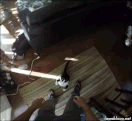 Caaaattt.gif
