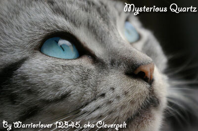 MysteriousQuartz copy.jpg