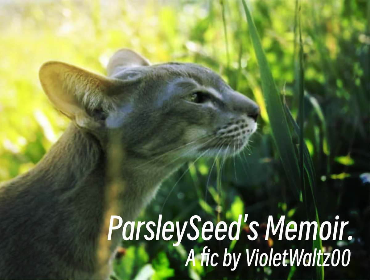 ParsleySeed’s Memoir Warriors Fanfiction Fandom